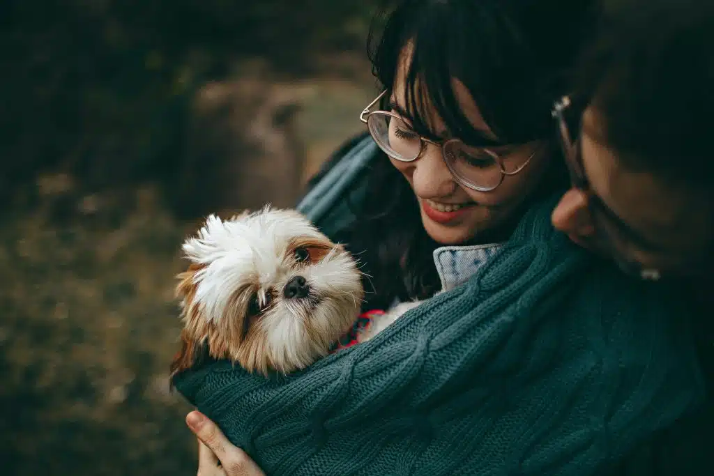 Viagem Pet-Friendly: leve seu peludo para curtir também